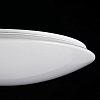 Потолочный светильник Freya FR6999-CL-45-W 100_100_3150005